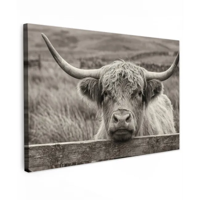 Buiten canvas - Schotse hooglander - Zwart - Wit - Hout