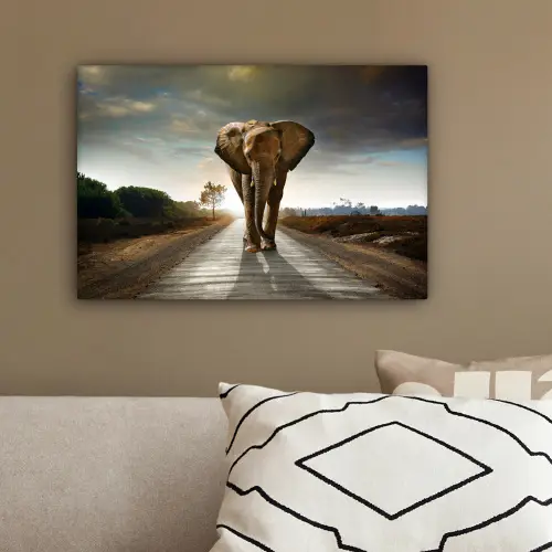 Olifant - Weg - Dieren - Zonsondergang - Landschap canvas 2cm klein -sfeer3