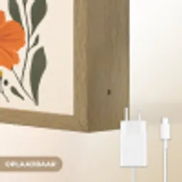 Veldbloemen - Stengels - Blaadjes - Groen Light Box met batterij (Wandlamp) middel -USP_websiteoplaadbaarNL
