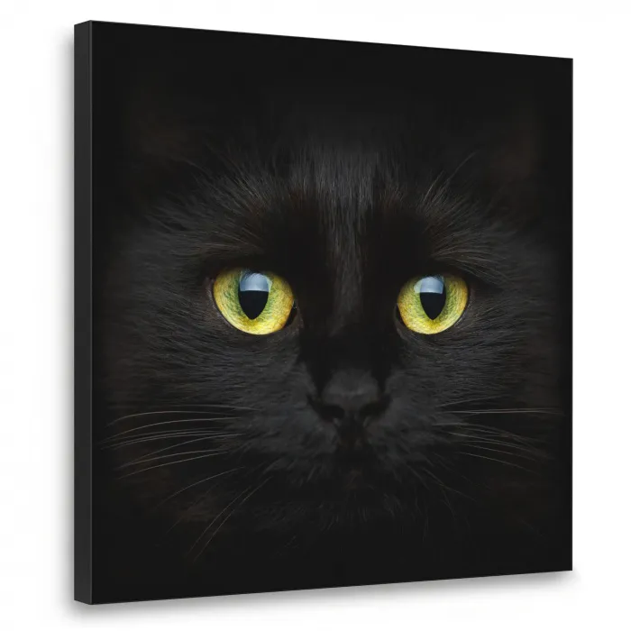 Kat - Zwart - Dieren - Natuur Textielframe zwart klein -3d