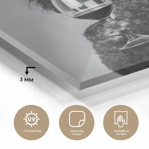 Hond - Krullen - Zonnebril - Wijn plexiglas 5mm klein -sfeer2