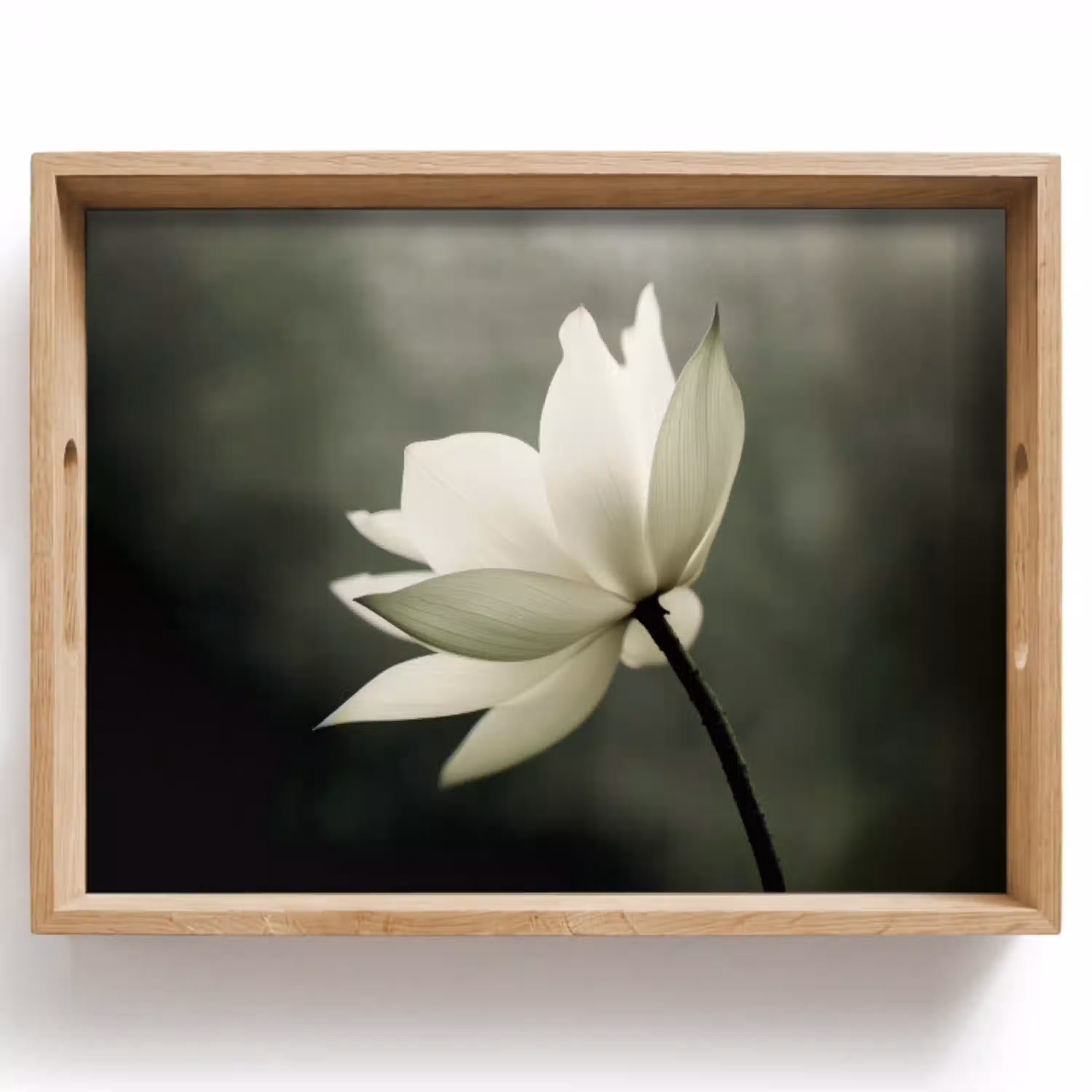 Wit - Lotus - Donker - Bloem Dienblad Rechthoek middel -z3d_shopping