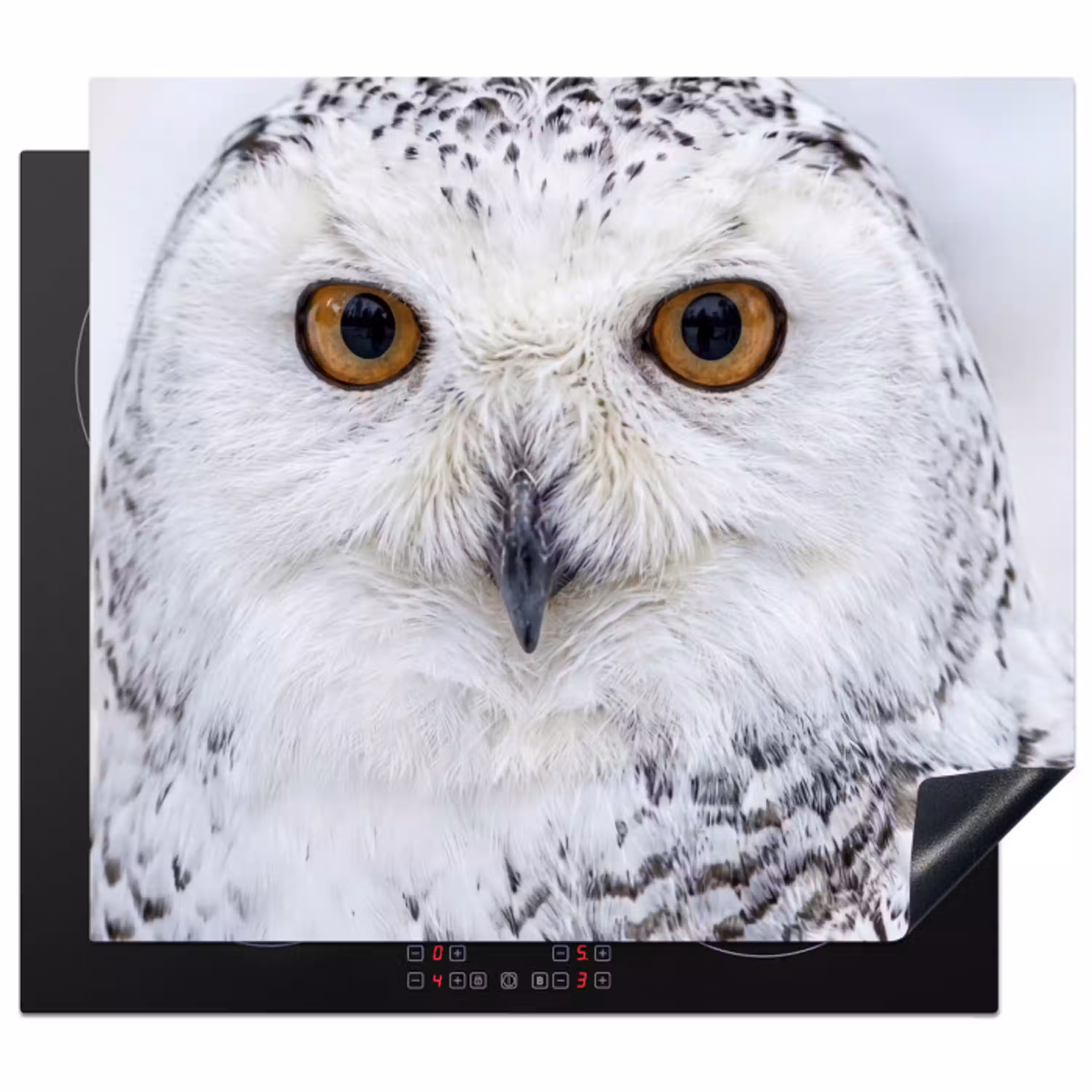 Sneeuwuil - Oog - Wildlife - Wit Inductie beschermer vinyl 3mm middel -3d
