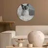 Kat - Siamees - Zwart Wit - Schattig - Dieren Akoestische PET Vilt - Rond klein -sfeer1