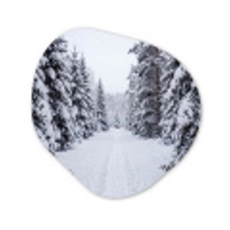 Bos - Winter - Sneeuw - Pad - Natuur Wandcirkel Organisch Aluminium middel -3d