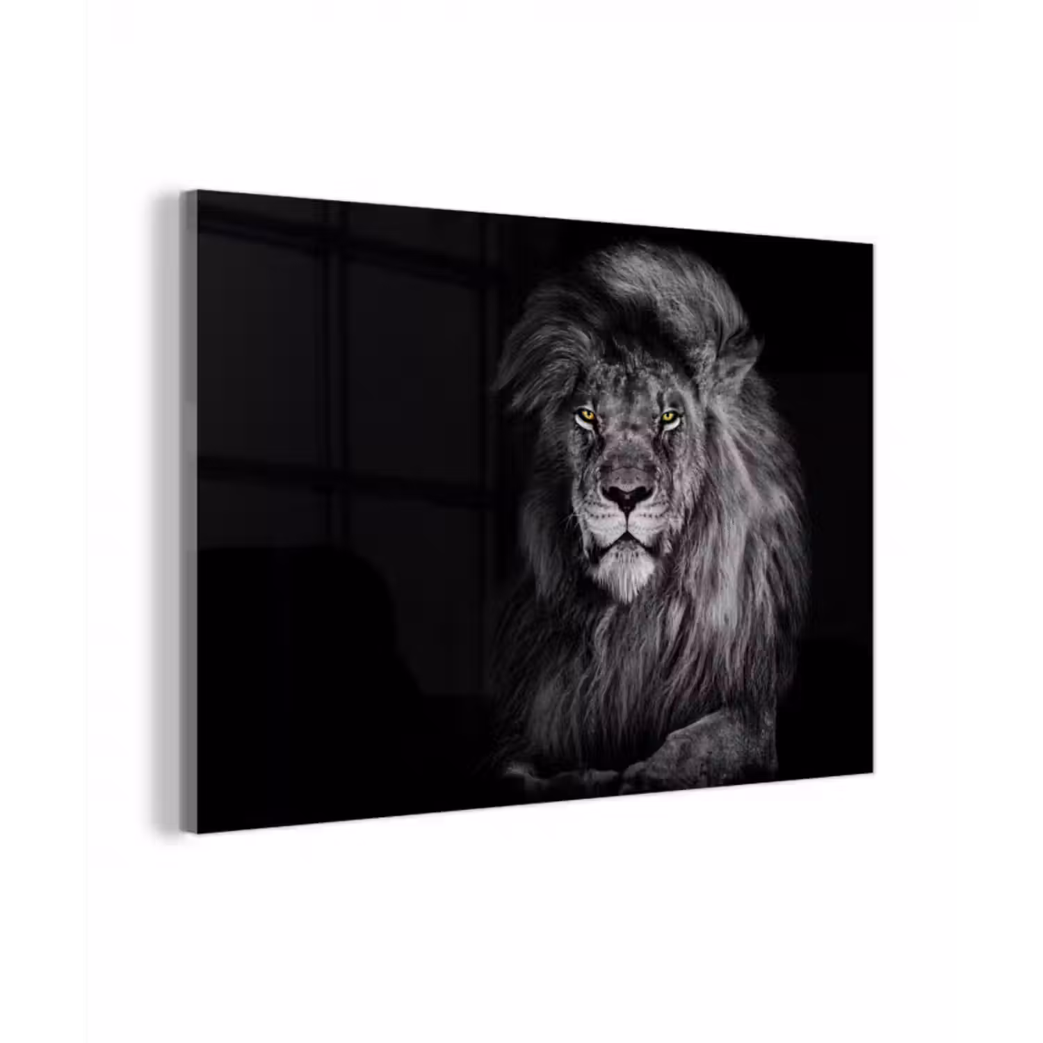 Glasbild - Löwe - Augen - Orange - Schwarz und weiß - Tiere - Porträt