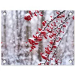Bessen - Takken - Sneeuw - Winter - Kleurrijk tuinposter los doek klein -3d