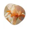 Close up - Oranje - Iris Wandcirkel Organisch Plexiglas middel -3d