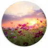 Zonsondergang - Bloemen - Roze - Natuur - Groen Wandcirkel kunststof plaat 5mm dik klein -3d