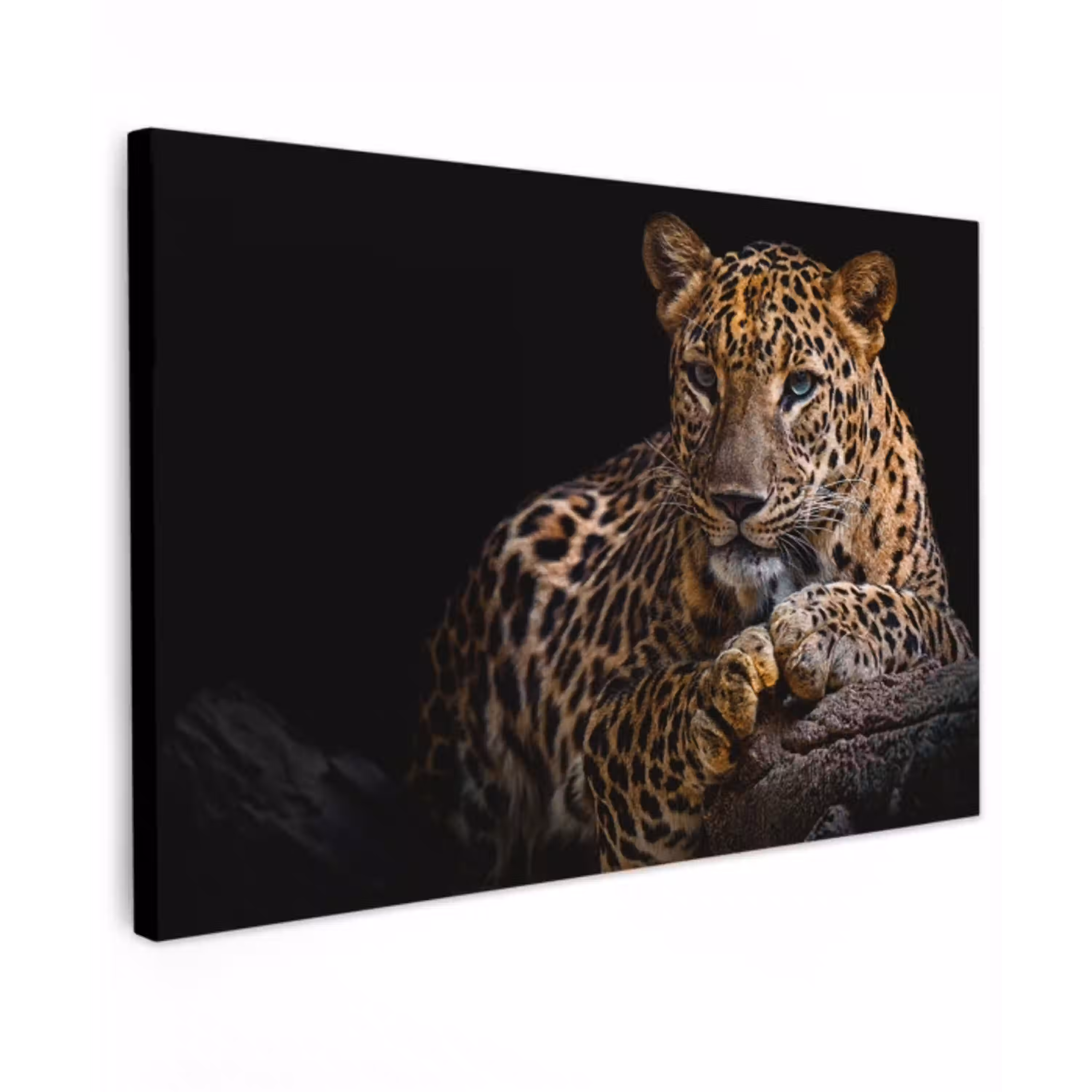 Wilde dieren - Panter - Portret - Zwart - Dieren canvas 2cm klein -z3d