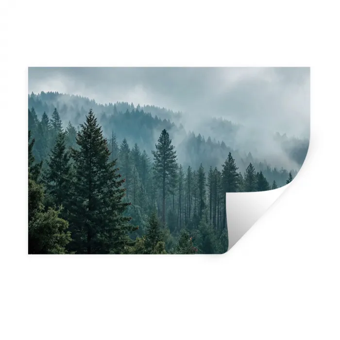 Naaldwoud - Bergen - Mist Muursticker klein -3d