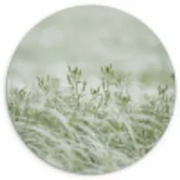 Grassen - Minimalistisch - Groen Wandcirkel kunststof plaat 5mm dik klein -3d