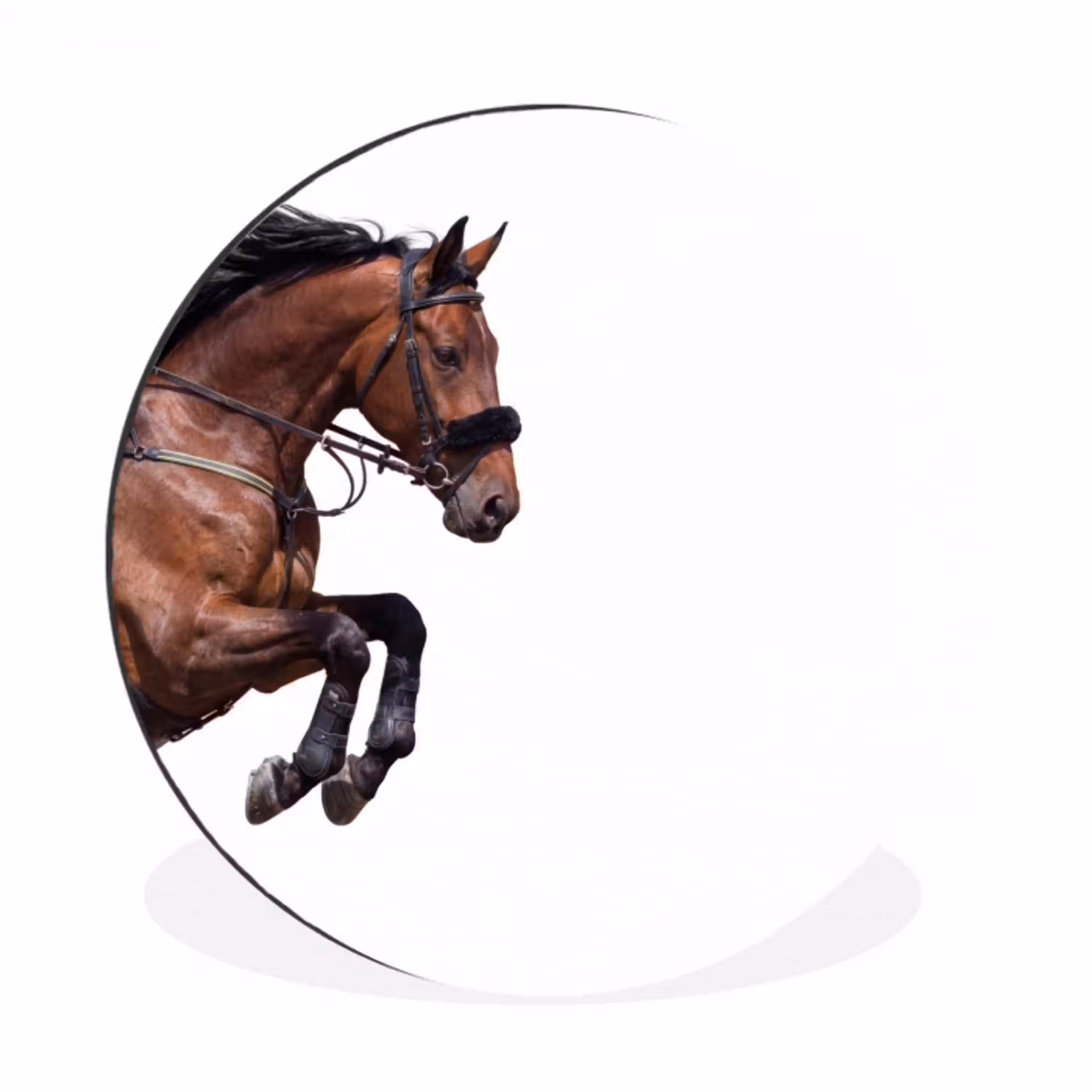 Paard - Springen - Modern Wandcirkel aluminium klein -3d