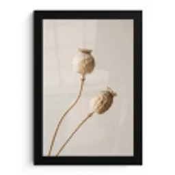 Papaverbollen - Droogbloemen - Minimalistisch - Beige - Rustig fotolijst zwart zonder passe partout klein -3d