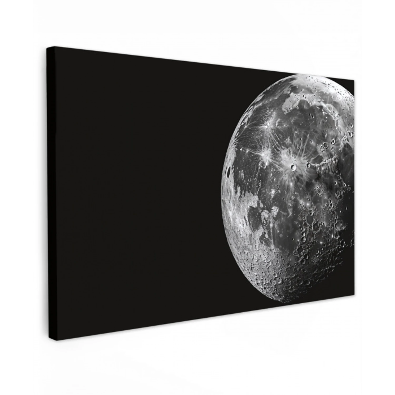 Close-up - Maan - Wit - Textuur Tuinposter op houten frame 2 cm dik klein -3d