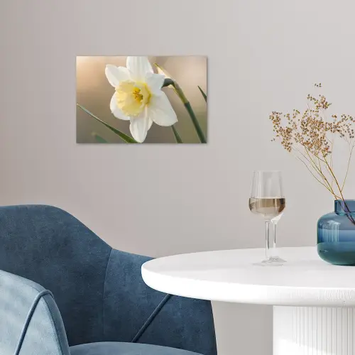 Narcis - Bloem - Minimalistisch poster papier klein -sfeer3