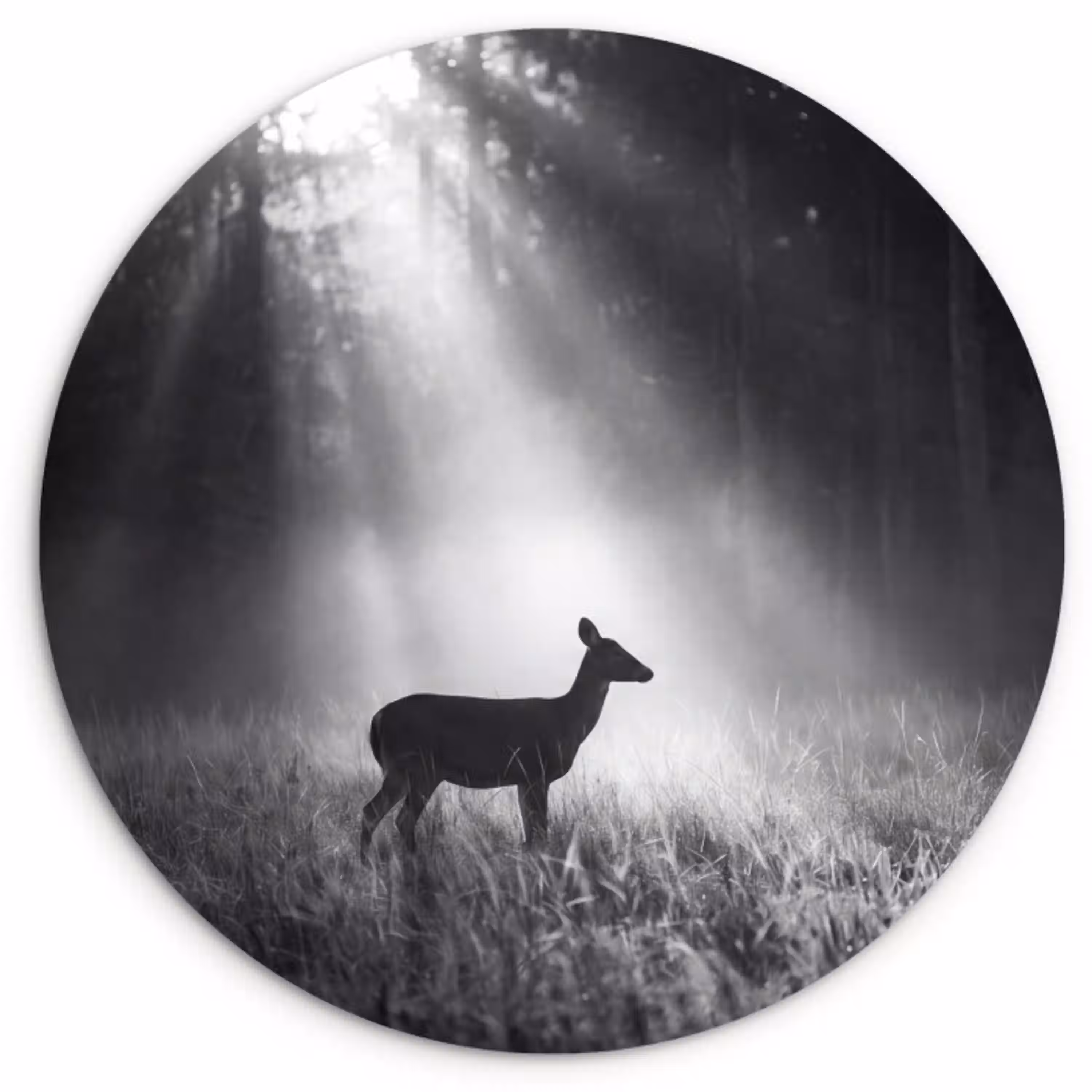 Hert - Bos - Zonnestralen - Zwart-wit - Natuur Wandcirkel kunststof plaat 5mm dik klein -3d