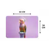 Papegaai - Koksmuts - Pilaar - Vogel Placemat vinyl groot -specs