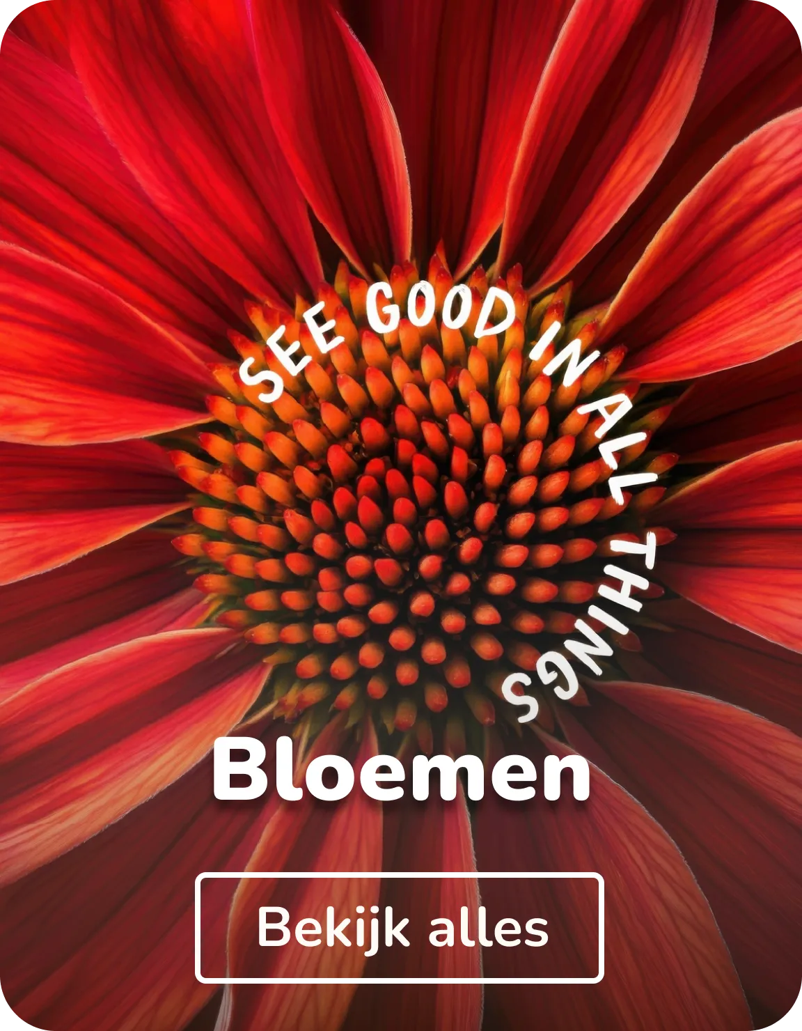 Vilt schilderijen bloemen