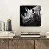 Dieren - Neushoorn - Zwart - Wit - Portret plexiglas 5mm klein -sfeer1