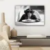 Aap - Spaghetti - Zonnebril - Zwart wit - Cool - Dier canvas 2cm klein -sfeer6