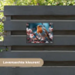 Roodborstje tussen de Bloesems tuinposter los doek klein -sfeer3
