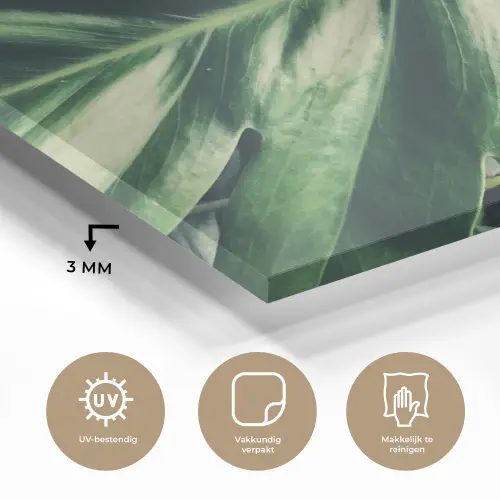 Tropisch - Inductie mat - Natuur - Inductie beschermer - Jungle plexiglas 5mm klein -sfeer2