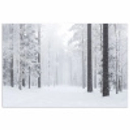 Bos - Sneeuw - Pad - Winter - Stilte poster papier klein -3d