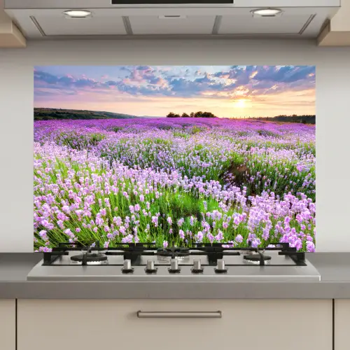 Lavendel - Bloemen - Zonsondergang - Paars - Weide keuken achterwand spatscherm klein -3d_website