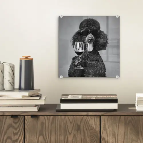 Hond - Krullen - Zonnebril - Wijn plexiglas 5mm klein -sfeer1
