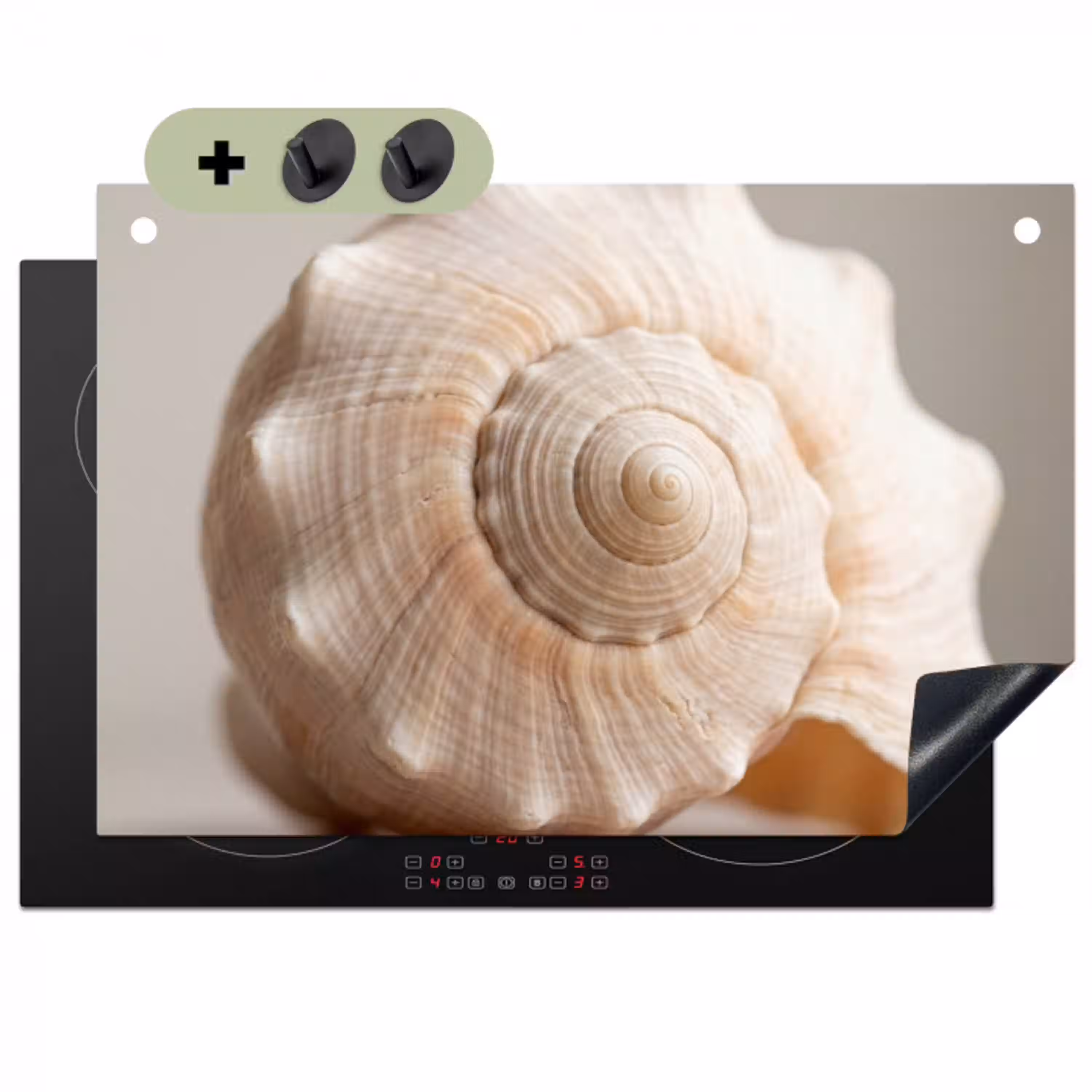Schelp - Detail - Beige Inductie beschemer met haakjes klein -3d