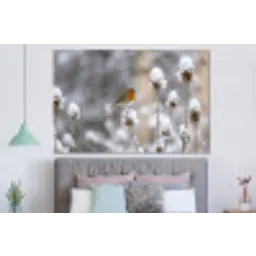 Roodborstje - Gedroogde bloem - Sneeuw - Winter - Vertederend forex 5mm xxl -slaapkamer