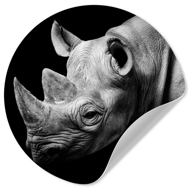 Dieren - Neushoorn - Zwart - Wit - Portret Wandcirkel behangsticker klein -3d
