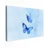 Vlinders - Sierlijk - Blauw canvas 2cm klein -z3d