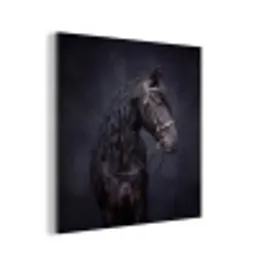 Portret - Paard - Donker aluminium wit klein -3d