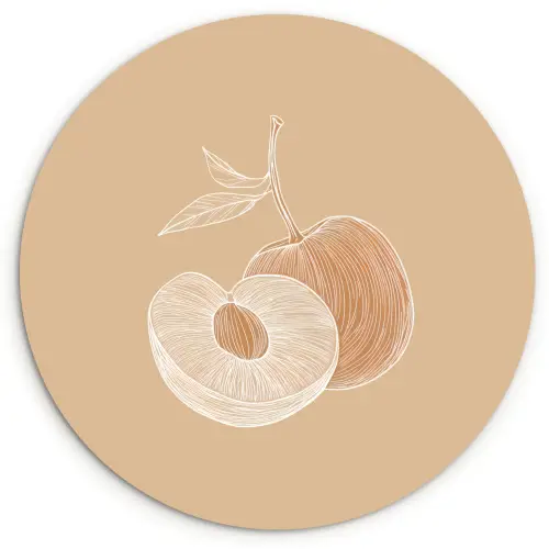 Perzik - Lijntekening - Pit - Beige Wandcirkel kunststof plaat 5mm dik klein -3d