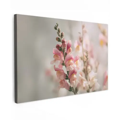 Bloem - Leeuwenbek - Roze - Stengel canvas 2cm klein -z3d