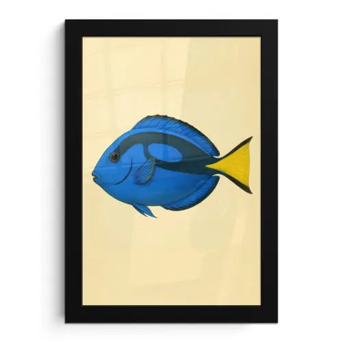 Blauw - Dory - Vis - Staartvin fotolijst zwart zonder passe partout klein -3d