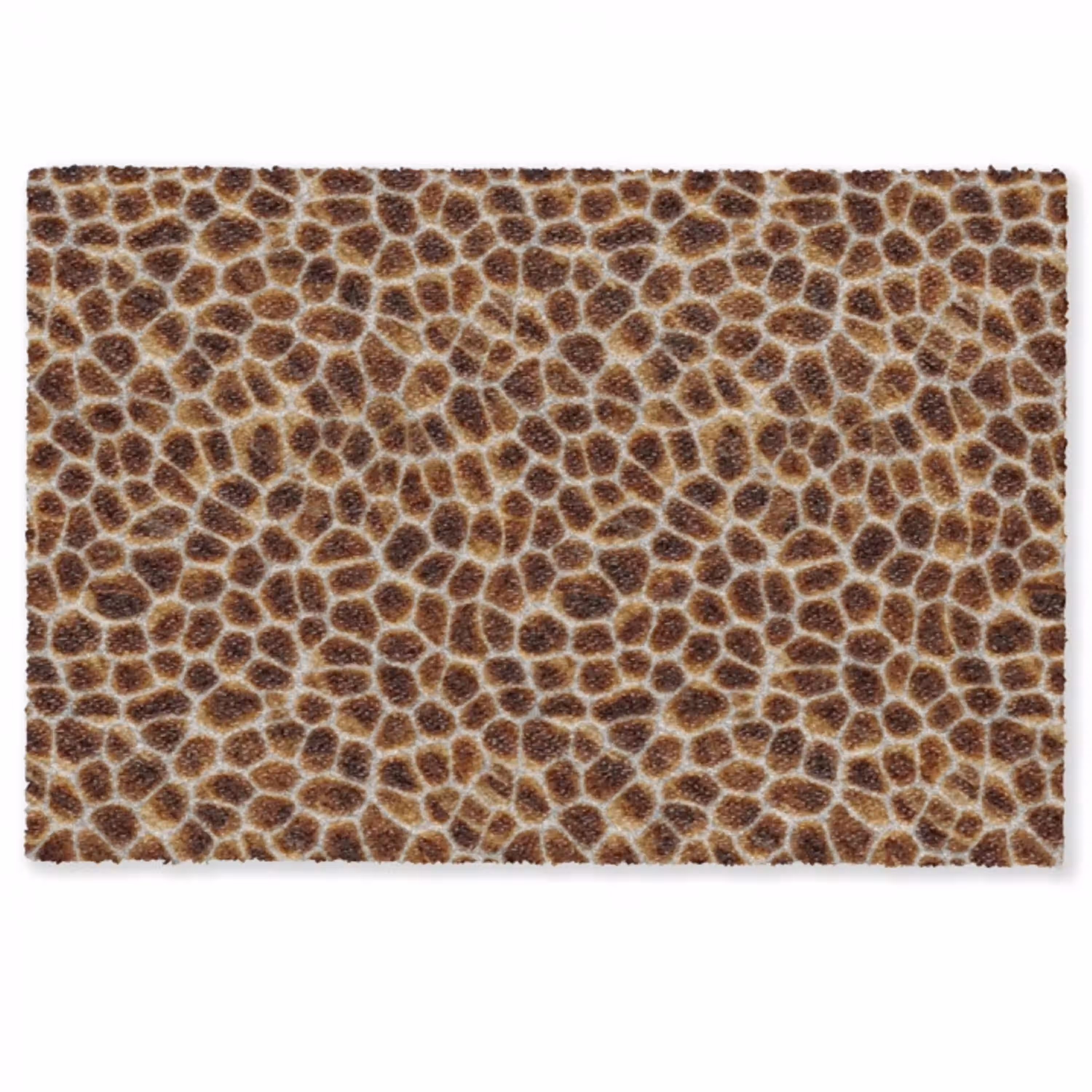 Schildpad - Patroon - Bruin Deurmat klein 898 -zkaufland3d