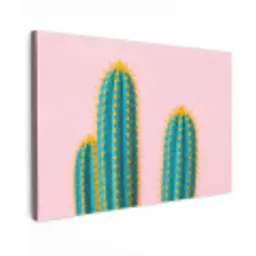 Cactussen - Modern - Pastel Tuinposter op houten frame 2 cm dik klein -3d