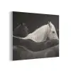 Paarden - Zwart - Wit - Kudde PET vilt klein -3d