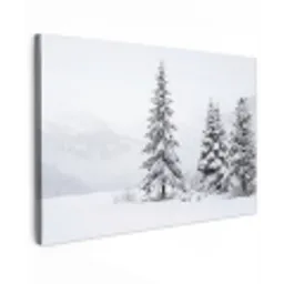 Fijnsparren - Sneeuw - Winter - Landschap - Stilte canvas 2cm klein -z3d