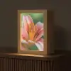Lelie - Close up - Lichtroze Light Box met kabel (Tafellamp) klein -z3d_website