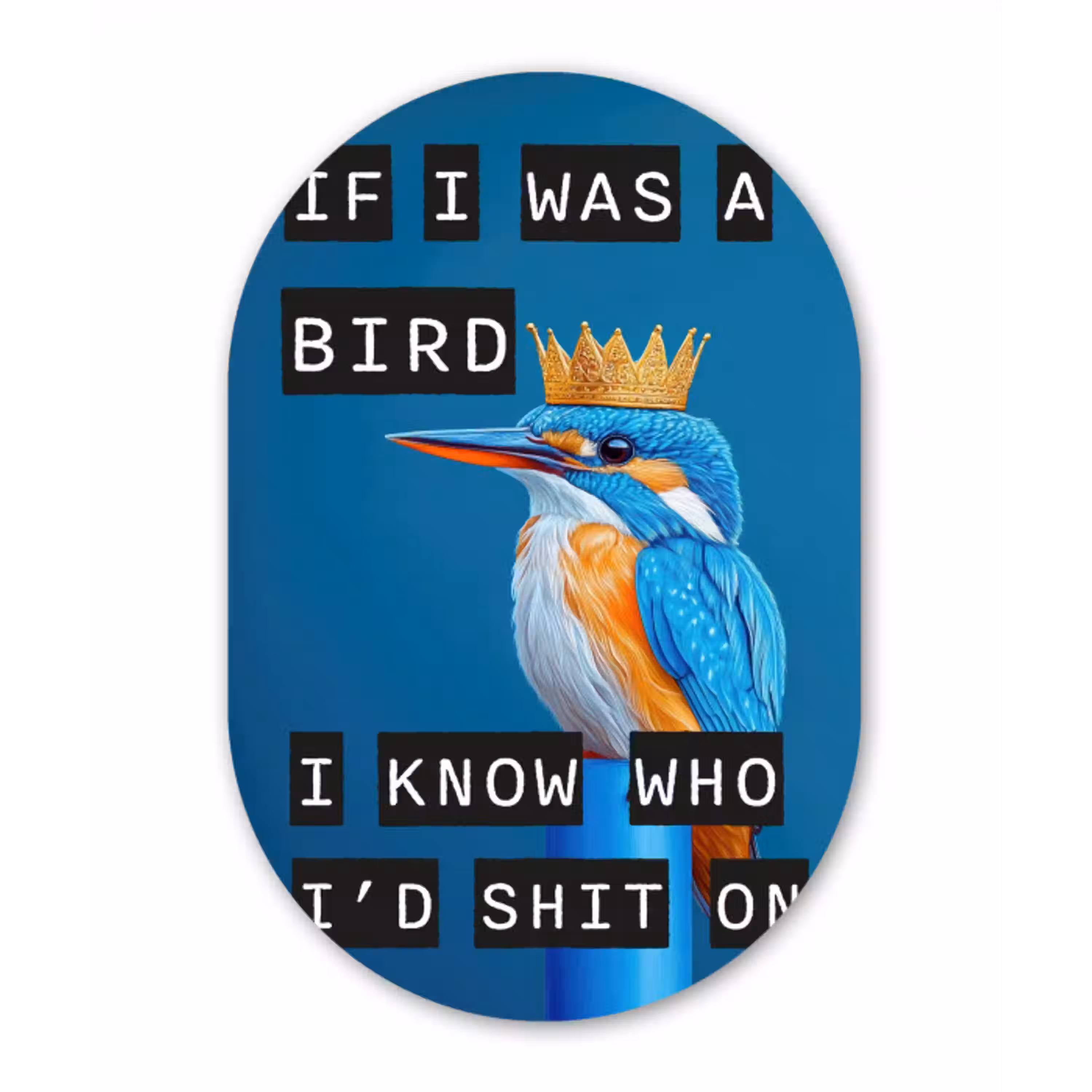 Vogel - Decoratie - Ijsvogel - Blauw Wandcirkel Ovaal Glas middel -3d