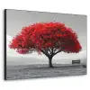 Boom - Rood - Natuur - Zwart wit Textielframe - compleet frame klein -3d