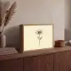 Klaproos - Illustratie - Zwart Light Box met batterij (Wandlamp) middel -sfeer2