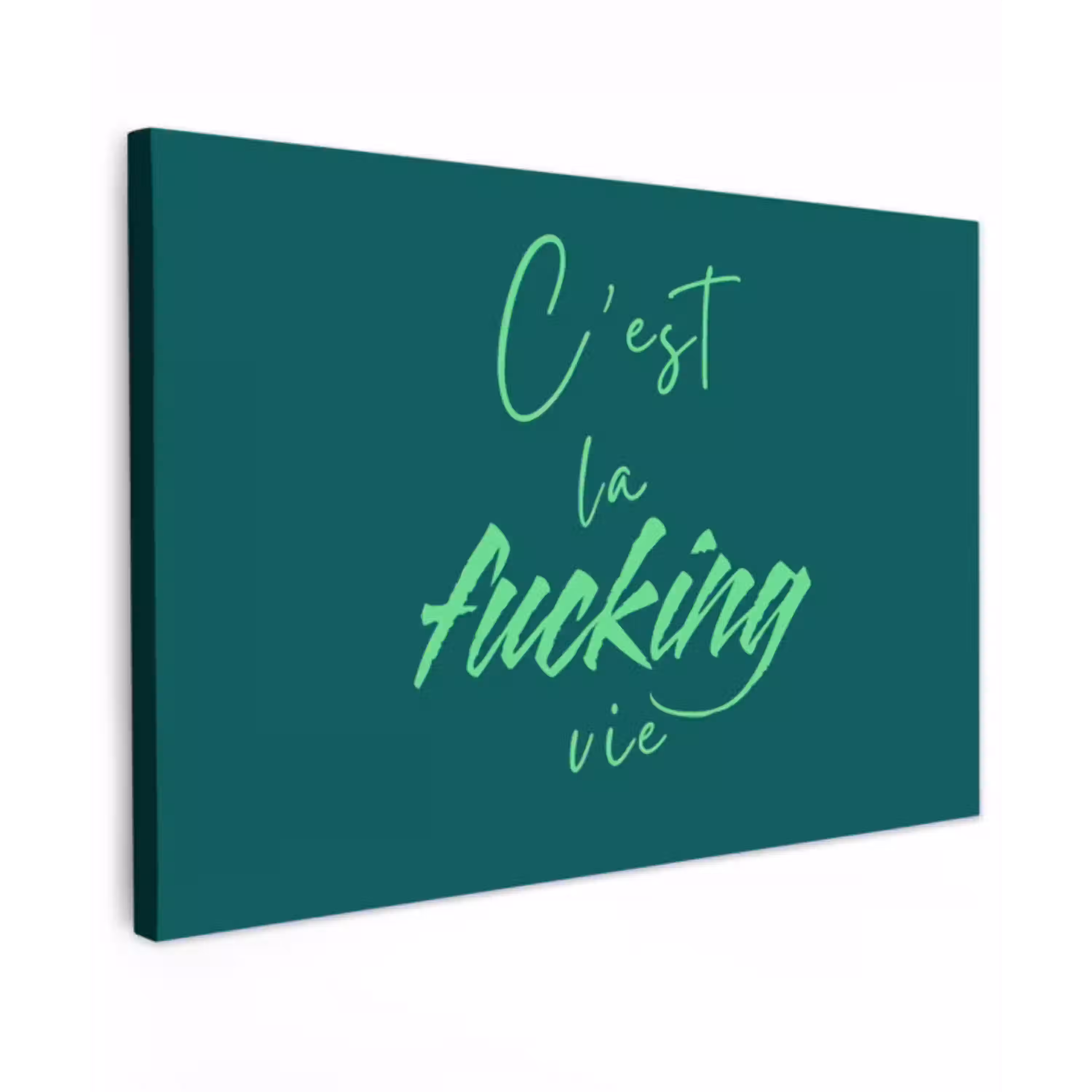 c'est la fucking vie - Groen - Handgeschreven Tuinposter op houten frame 2 cm dik klein -3d