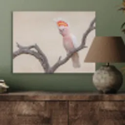 Papagaai - Tak - Roze PET vilt klein -sfeer2