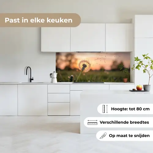Paardenbloem - Zonsondergang - Veld keuken achterwand 2 middel -sfeer4_NL