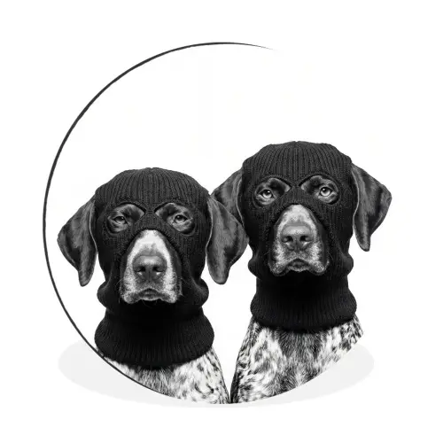Honden - Bivakmuts - Zwart - wit Wandcirkel aluminium klein -3d